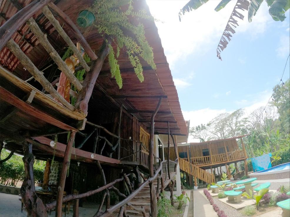 Tree House Samanea Lodge Пуерто-Лімон Екстер'єр фото