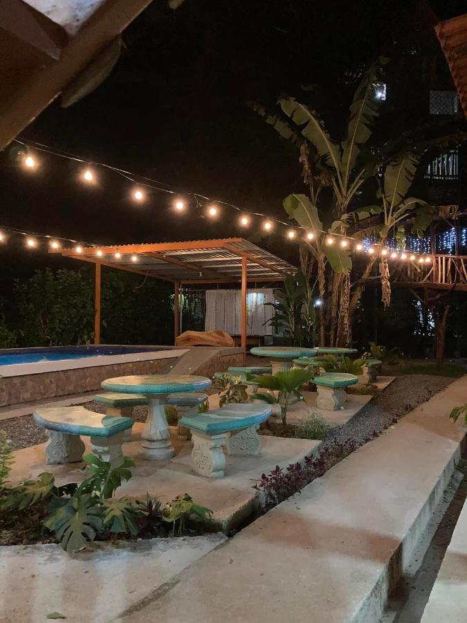 Tree House Samanea Lodge Пуерто-Лімон Екстер'єр фото