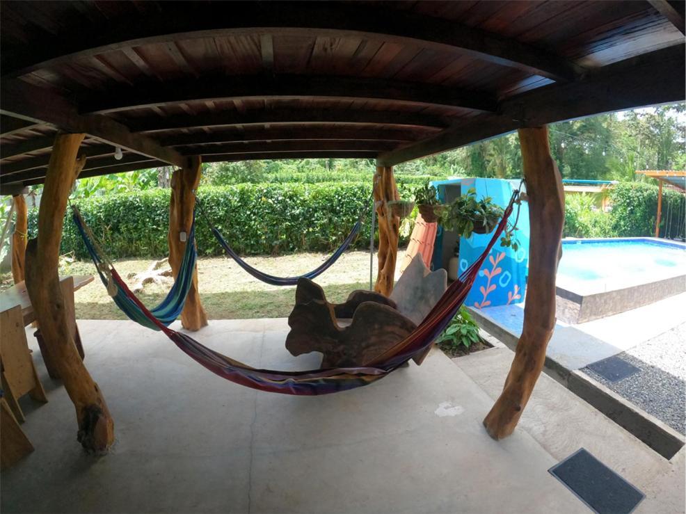 Tree House Samanea Lodge Пуерто-Лімон Екстер'єр фото