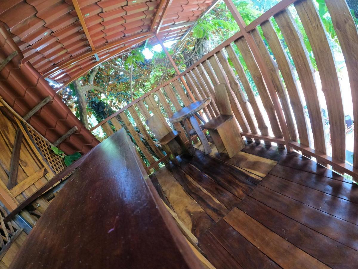 Tree House Samanea Lodge Пуерто-Лімон Екстер'єр фото
