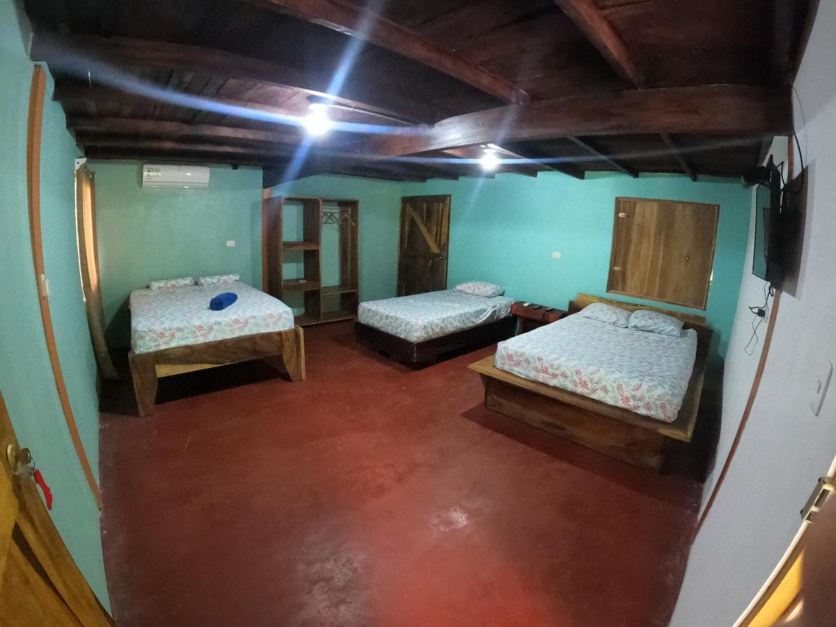 Tree House Samanea Lodge Пуерто-Лімон Екстер'єр фото