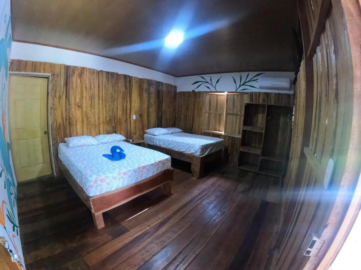 Tree House Samanea Lodge Пуерто-Лімон Екстер'єр фото