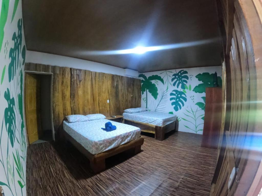 Tree House Samanea Lodge Пуерто-Лімон Екстер'єр фото